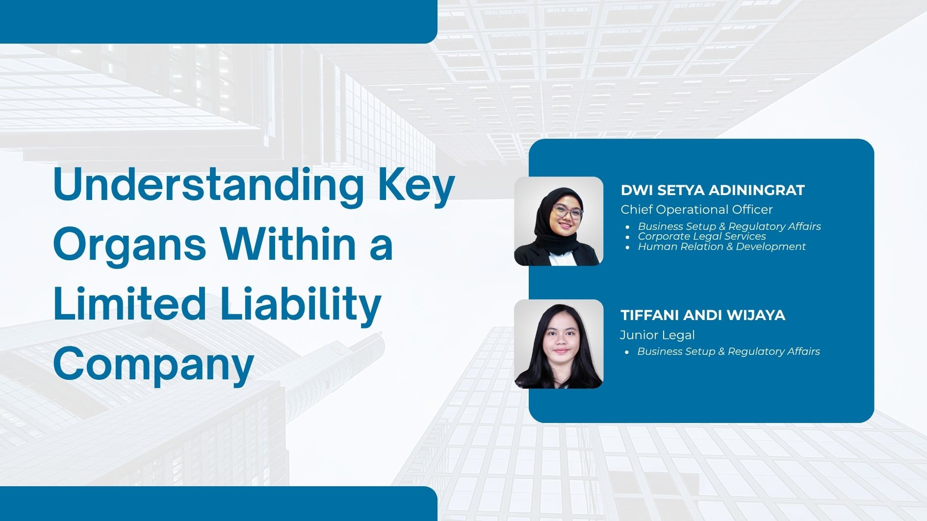 Understanding Key Organs Within a Limited Liability Company